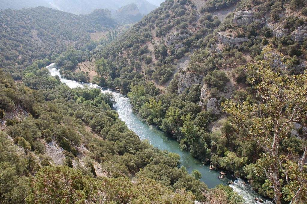 El Abrigano Del Canon Pesquera de Ebro Екстер'єр фото
