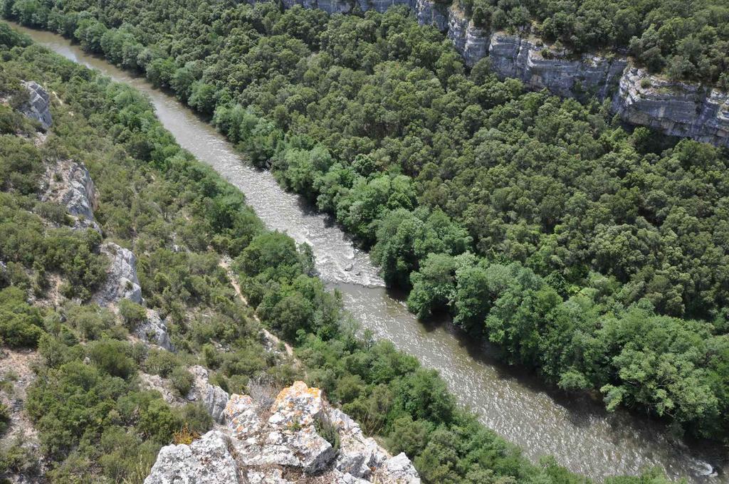 El Abrigano Del Canon Pesquera de Ebro Екстер'єр фото